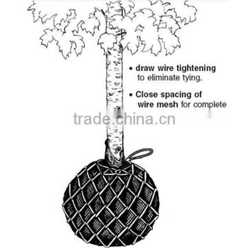 Wire Tree Baskets for nursery and plants