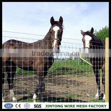 cattle farm fence steel metal type cattle fence cattle fence grassland