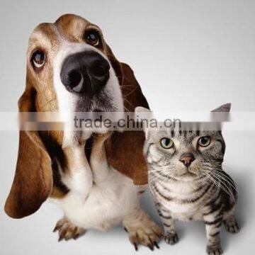 Dry Type Animal Food Pellet Making Machine photo-6