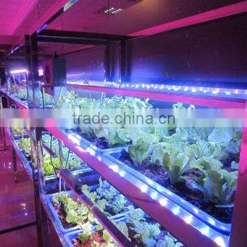 2016 Hot Product Marshydro Waterproof Hydroponic Grow Light Bar LED 23W 46W 92W Greenhouse Grow LED Light Bar photo-2
