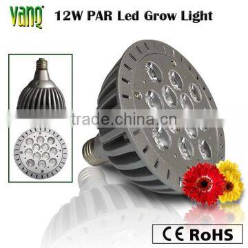 Red blue par38 led grow light bulb 12W for hydroponic grow box