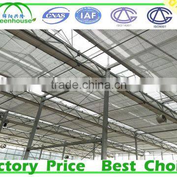 Large Size and Multi Span Agricultural Glass Greenhouse photo-5