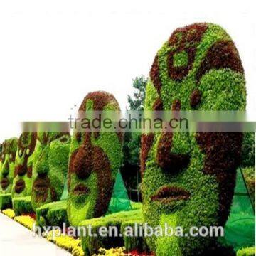 Small Sculpture Aritificial Green Sculpture Plastic Fake Plant Artificial Sculpture Artificial Statue photo-5