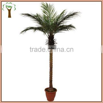 Hot sale artificial phoenix palm tree manufacturer