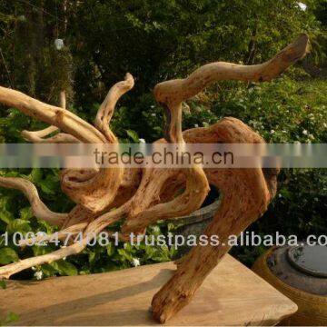 Natural roots for aquarium driftwood