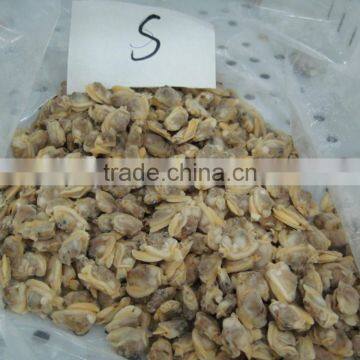 IQF Frozen Boiled Short Necked Clam Meat photo-4