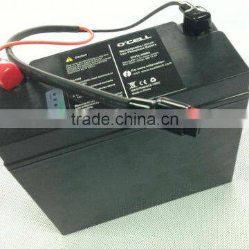 Factory Direct 12V20Ah Lithium Ion Battery With BMS and Charger photo-2