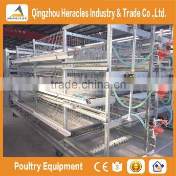 Shandong trade assurance poultry farming equipment automatic chicken layer cage for sale in philippines