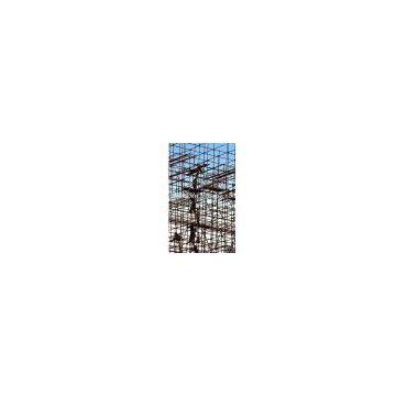 Scaffold