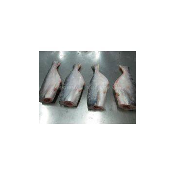 Pangasius Head on, Gutted & Tailed