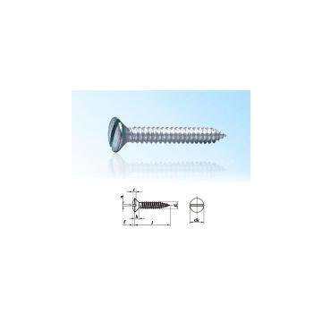 Countersunk Head Tapping Screws with Slot DIN7972