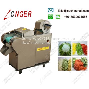 Multifunctional Vegetable Cutting Machine|Cabbage cutter