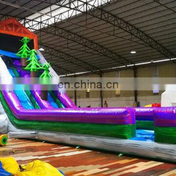 New design gorgeous purple Inflatable palm tree long slide with pool, Inflatable slip and slide on hot sale