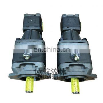 SUNNY Internal Gear Pump Double Gear Pump HG21-125-63-01R-VPC photo-3