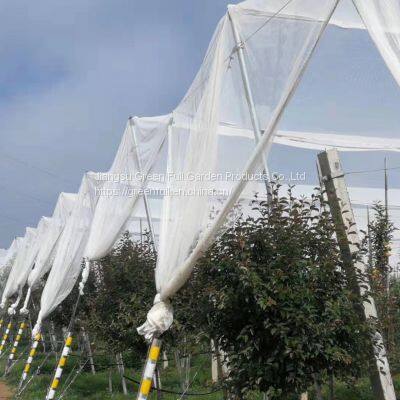 High quality anti bee net for apple tree farm