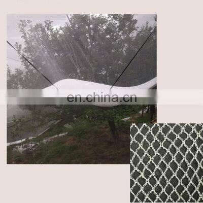 45g 50g 60g Agricultural HDPE Anti Hail Net Screenhouse for Plants Protection Fruit Apple Tree