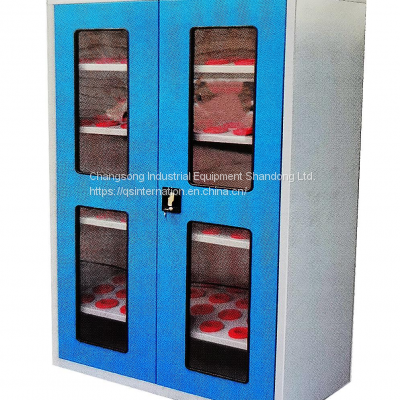 Workshop Garage Series Storage Combination Tools Cabinet Wo Tool Cabinet Garage for Sale