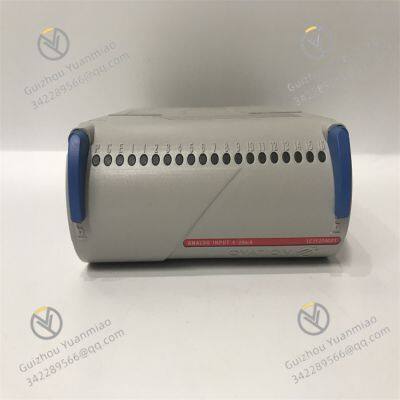 1C31224G01 EMERSON Analog input module