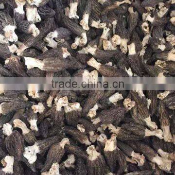 wild morel mushroom from yunnan