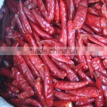 HOT dried chili