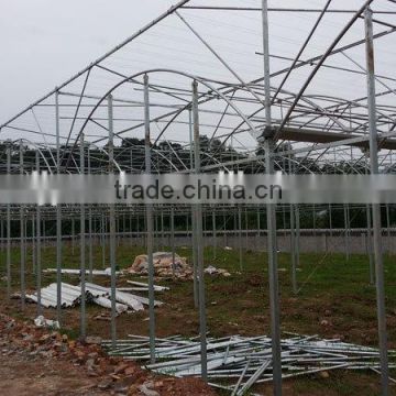 greenhouse galvanized pipe