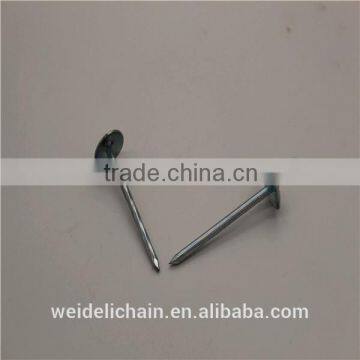 Competitive Price BWG10X2.5" Roofing Nails photo-3