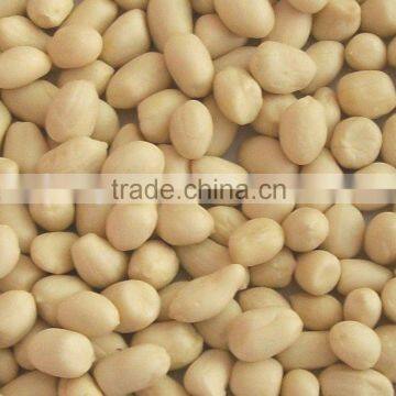 Chinese Peanut Kernel without Skin