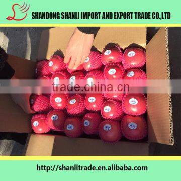 138-150 pcs Fuji Apple,red color