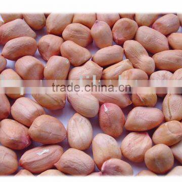 chinese peanut