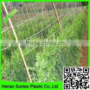 Heavy duty long-lasting polyester trellis netting pea & bean support net