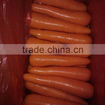 fresh carrots supplier