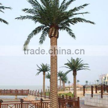 Man-made Canary Date Palm Tree