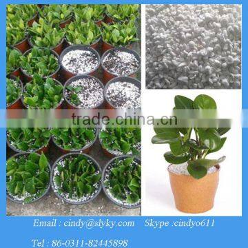 3-6mm horticulture perlite as soil fertilizer