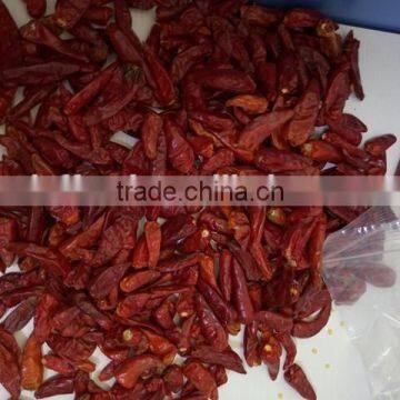 Dry Red Chili With High Quality photo-6