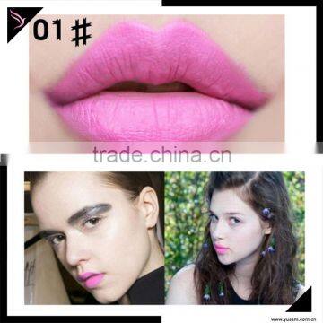 Long lasting matte waterproof lip gloss/lip color