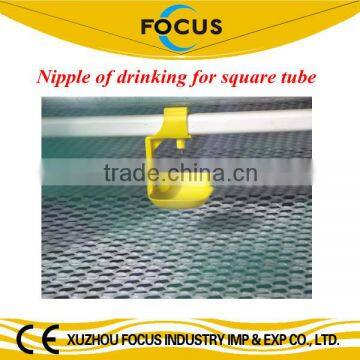Nipple of drinker