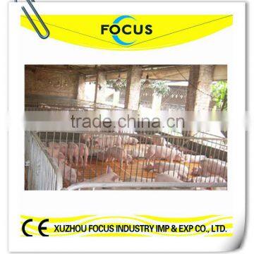 Focus industry pig weaner crate farrowing crates for pigs piglet weaner crates for sale