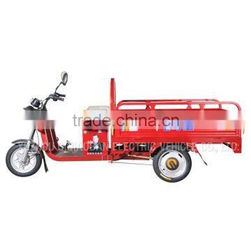 48v 1000w Brushless Motor Three Wheel Electric Vehicle photo-2