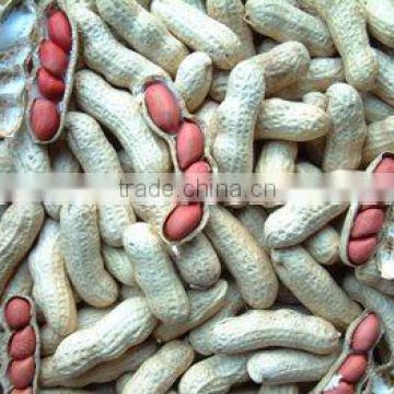 FOUR KERNELS PEANUTS INSHELL