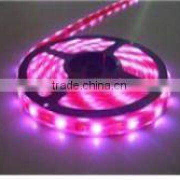 12v/24v 30led 5050 strip