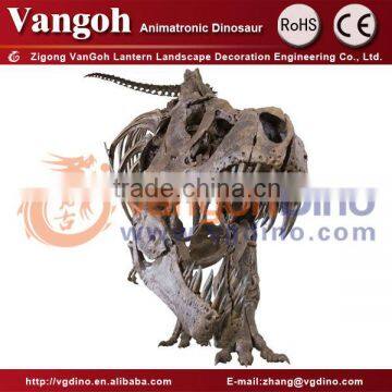 VGS118-dinosaur skeleton dinosaur fossil toys