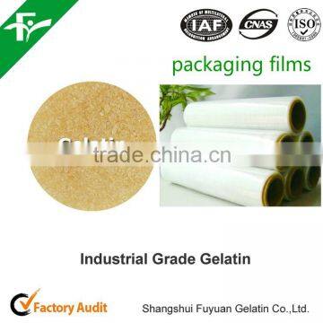 High Quality Industrial Gelatin For Paper Making