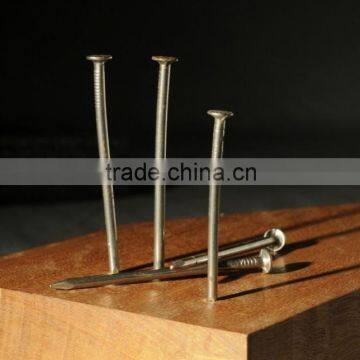 Common Wire Nail Factory China Supplier Pallet Used Pallet Nails photo-3