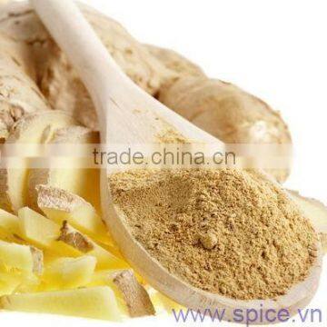 VIETNAM WHOLE SALE GINGER POWDER