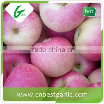 Fresh red sweet crisp gala apples from China