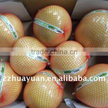 Fresh GuanXi Top Grade Pomelo