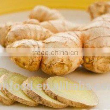 good quality Dehydrated Ginger slices