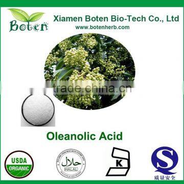 High Quality Olea europaea L with Oleanolic Acid