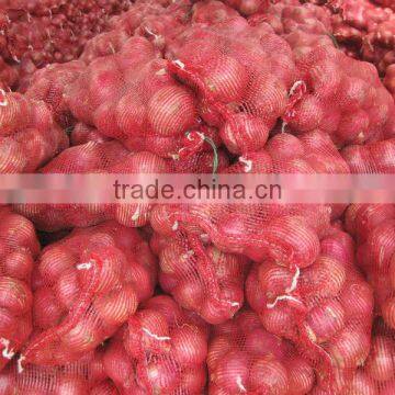2014 Fresh Pink Onion for Sale photo-4