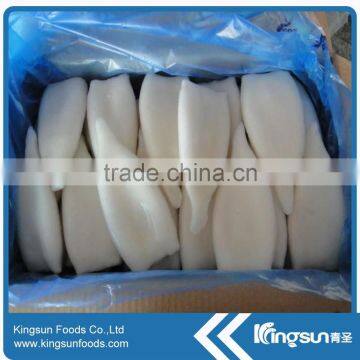 Frozen peru giant squid tube price U5 U7 U10